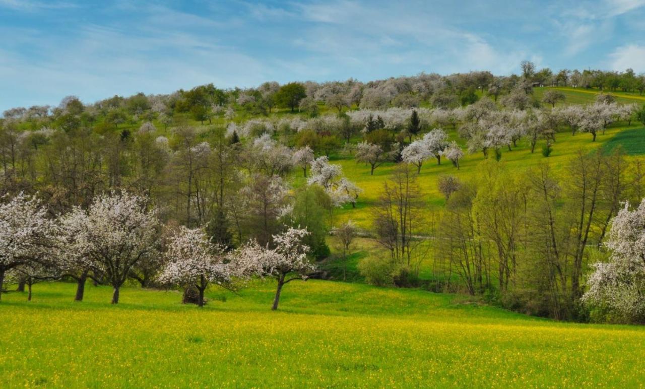 Ferienwohnung Milla Weissach im Tal Bagian luar foto